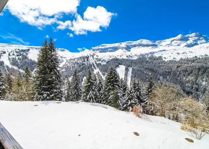 Sud, Centre De Flaine, Linge Et Menage Compris